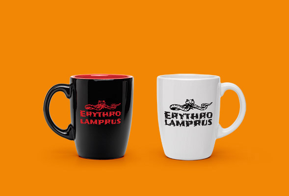 Two mugs with the band logo sitting on an orange background. One mug is black with red lettering and the other white with black lettering.