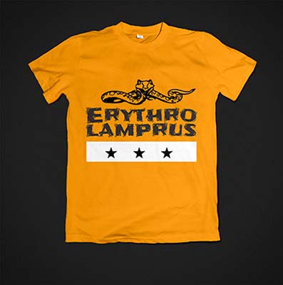 Orange shirt with black background and a snake and the band logo written on it.