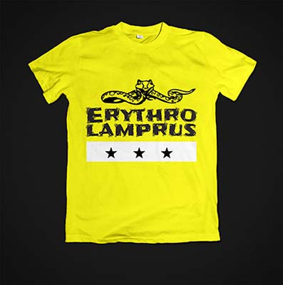 Yellow shirt with black background and a snake and the band logo written on it.