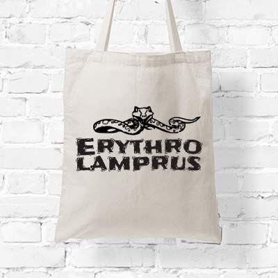 Photo of white tote bag against a white wall with the band logo on it.