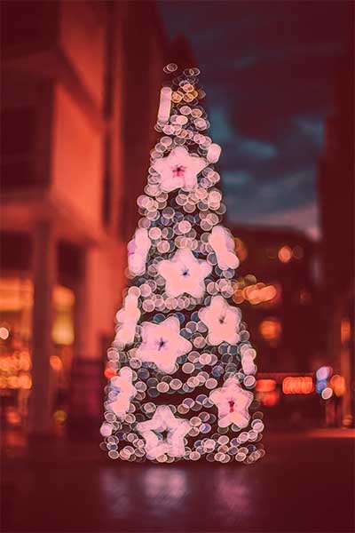 tall outdoor christmas tree decorated with glowing star ornaments.